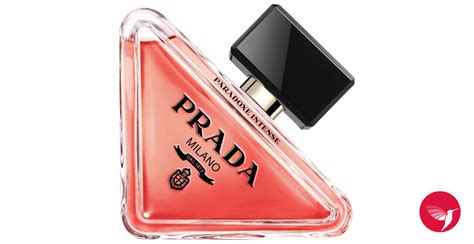 prada paradoxe recension|prada paradoxe intense for women.